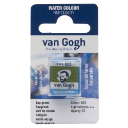 *ACUARELA VAN GOHG Nº623 P...