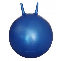 PELOTA SOFTEE CANGURO 45 CM...