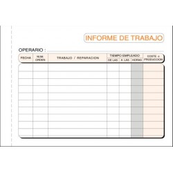 TALONARIO LOAN INFORME...