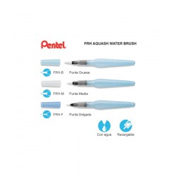 PINCEL PENTEL PLANO...